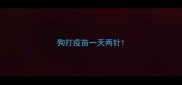 狗打疫苗一天两针