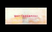 猫咪打了疫苗连着两天吐