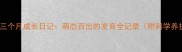 金毛幼犬三个月成长日记萌态百出的发育全记录附科学养护指南