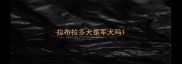 拉布拉多犬是军犬吗