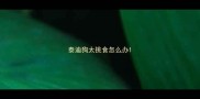 泰迪狗太挑食怎么办