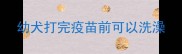 幼犬打完疫苗前可以洗澡
