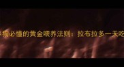 必看新手养狗必懂的黄金喂养法则拉布拉多一天吃多少才健康