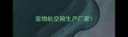 宠物航空箱生产厂家