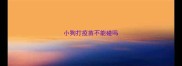 小狗打疫苗不能碰吗