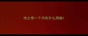 哈士奇一个月吃什么狗粮