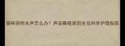 猫咪突然失声怎么办声音嘶哑原因全及科学护理指南