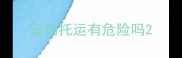 宠物托运有危险吗