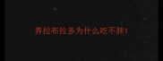 养拉布拉多为什么吃不胖