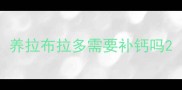 养拉布拉多需要补钙吗