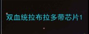 双血统拉布拉多带芯片
