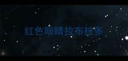 红色眼睛拉布拉多