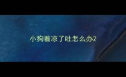 小狗着凉了吐怎么办