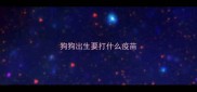 狗狗出生要打什么疫苗