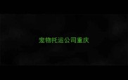 宠物托运公司重庆