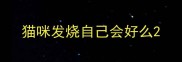 猫咪发烧自己会好么