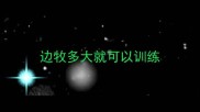 边牧多大就可以训练