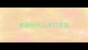 泰迪幼犬几天打疫苗