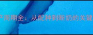 金毛犬生产周期全从配种到断奶的关键时间节点
