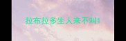拉布拉多生人来不叫