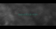 泰迪大的贵还是小的贵