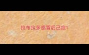 拉布拉多感冒后己症