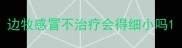 边牧感冒不治疗会得细小吗