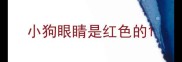 小狗眼睛是红色的