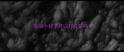 狗细小好了可以打疫苗吗