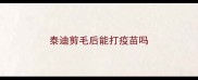 泰迪剪毛后能打疫苗吗
