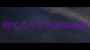阿拉几个月开始训练6