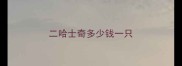 二哈士奇多少钱一只