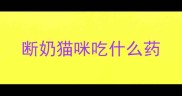 断奶猫咪吃什么药