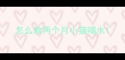 怎么教两个月小猫喝水