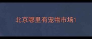 北京哪里有宠物市场