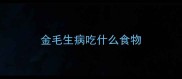 金毛生病吃什么食物