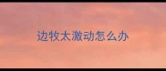 边牧太激动怎么办