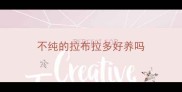 不纯的拉布拉多好养吗