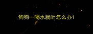 狗狗一喝水就吐怎么办
