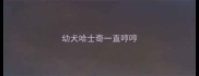幼犬哈士奇一直哼哼