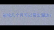 边牧几个月可以带出溜达