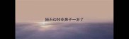 陨石边牧花鼻子一岁了