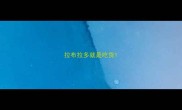 拉布拉多就是吃货