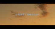小狗感冒了咳嗽怎么办