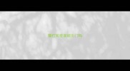 猫打完疫苗能出门吗