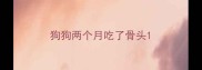 狗狗两个月吃了骨头