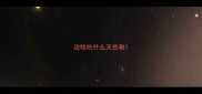边牧吃什么天然粮