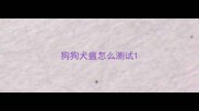 狗狗犬瘟怎么测试