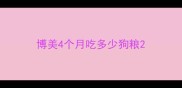 博美4个月吃多少狗粮