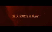 重庆宠物定点疫苗